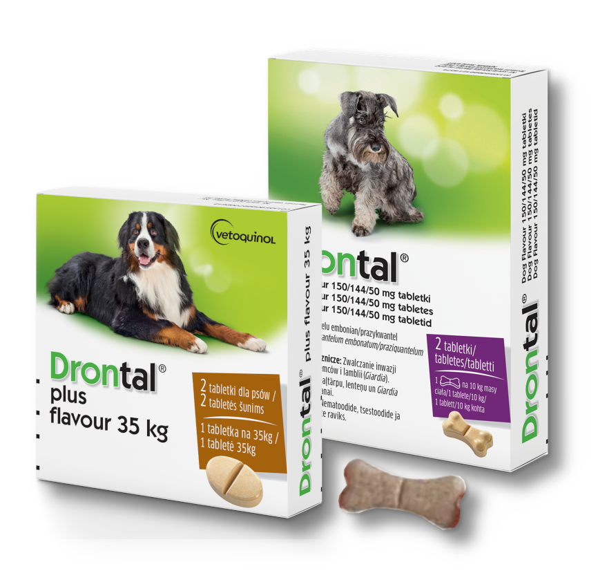 Drontal tabletki odrobaczające dla psów