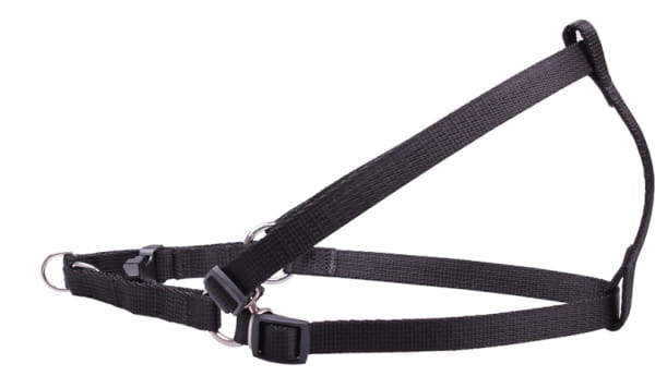Chico szelki taśma regulowane 40cm czarne