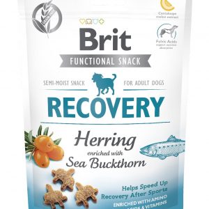 Brit Let's Bite Przysmak Funkcyjny dla psów regeneracja po wysiłku 150g