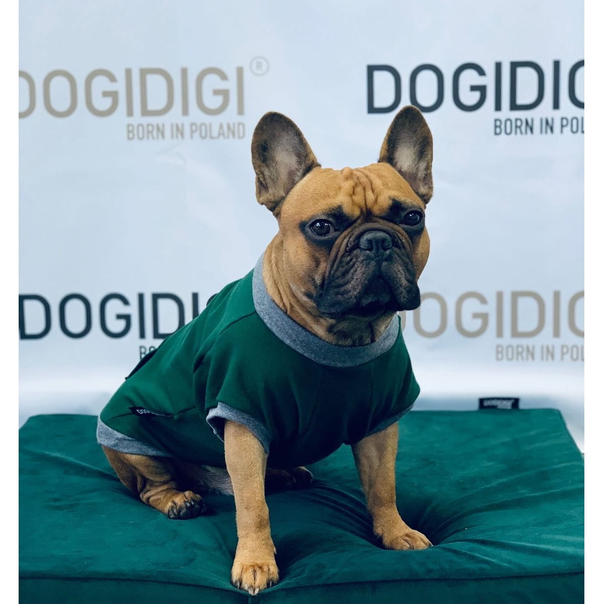 Dogidigi bluza dresowa bez kaptura dla psa na miarę - ubranka dla psów