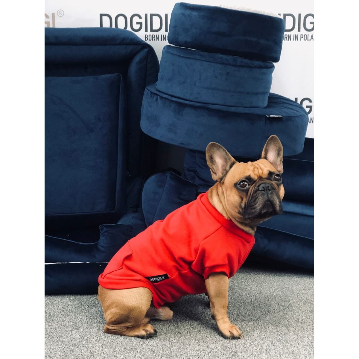 Dogidigi bluza dresowa bez kaptura dla psa na miarę - ubranka dla psów