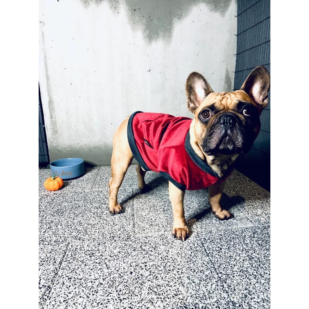 Dogidigi bluza Velvet bez kaptura dla psa na miarę - ubranka dla psów