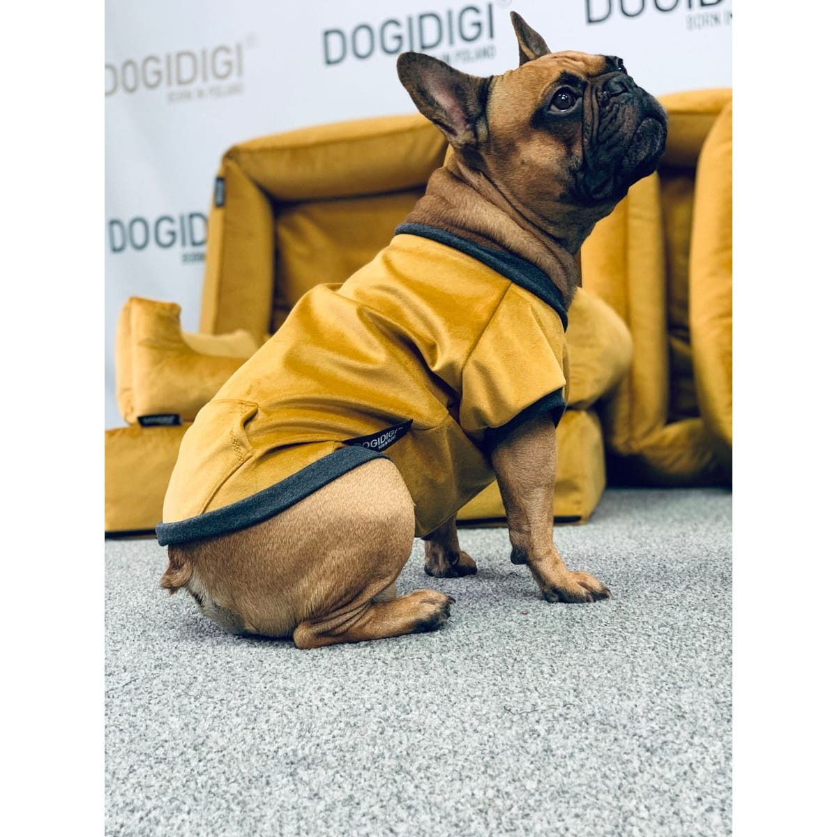 Dogidigi bluza Velvet bez kaptura dla psa na miarę - ubranka dla psów