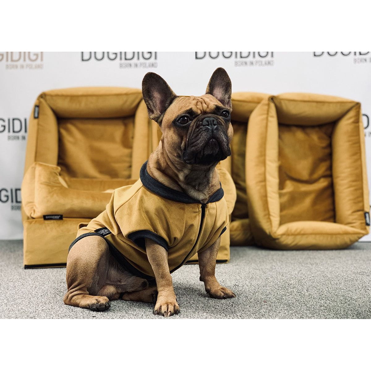 Dogidigi bluza Velvet bez kaptura dla psa na miarę - ubranka dla psów