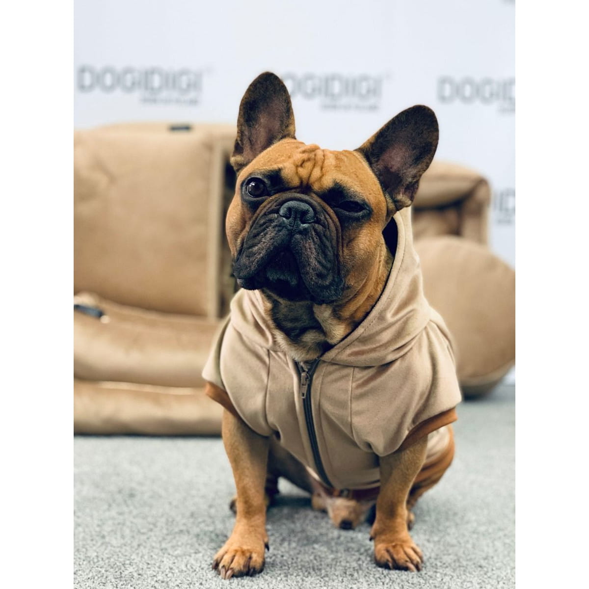 Dogidigi bluza Velvet bez kaptura dla psa na miarę - ubranka dla psów