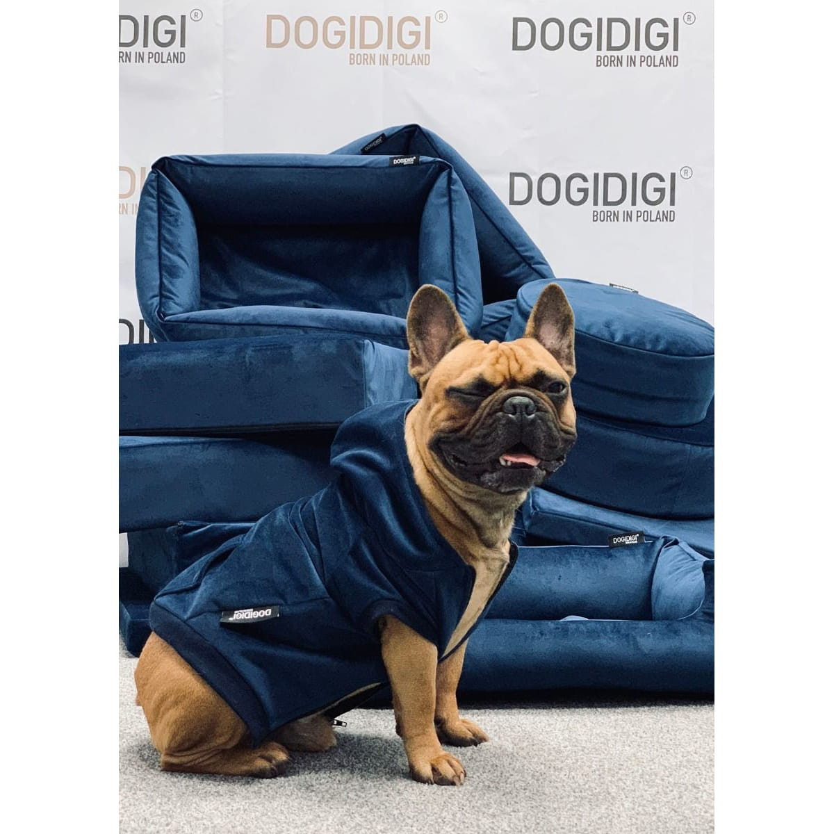 Dogidigi bluza Velvet z kapturem dla psa na miarę - ubranka dla psów