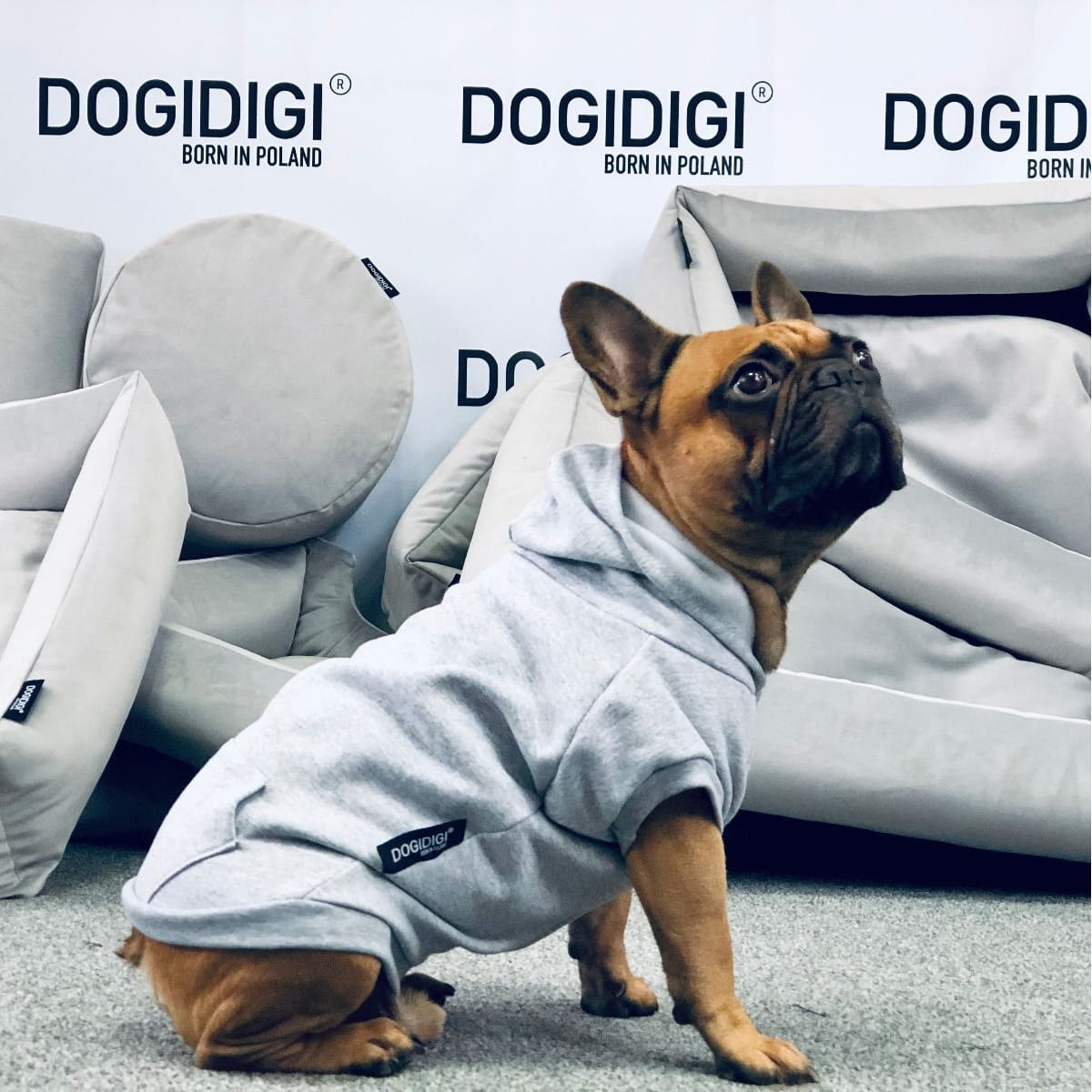 Dogidigi bluza dresowa z kapturem dla psa na miarę - ubranka dla psów