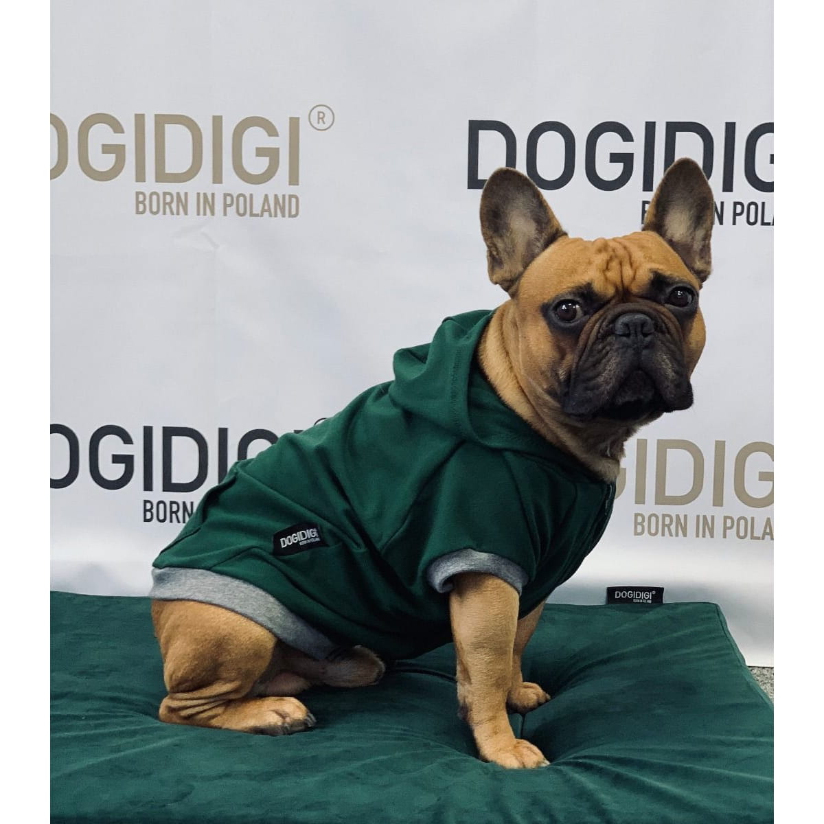 Dogidigi bluza dresowa z kapturem dla psa na miarę - ubranka dla psów