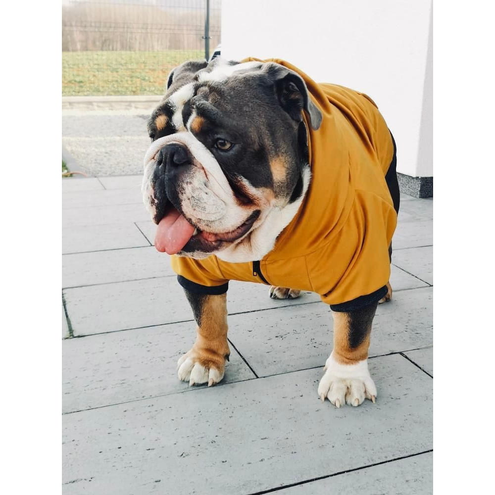 Dogidigi bluza dresowa z kapturem dla psa na miarę - ubranka dla psów