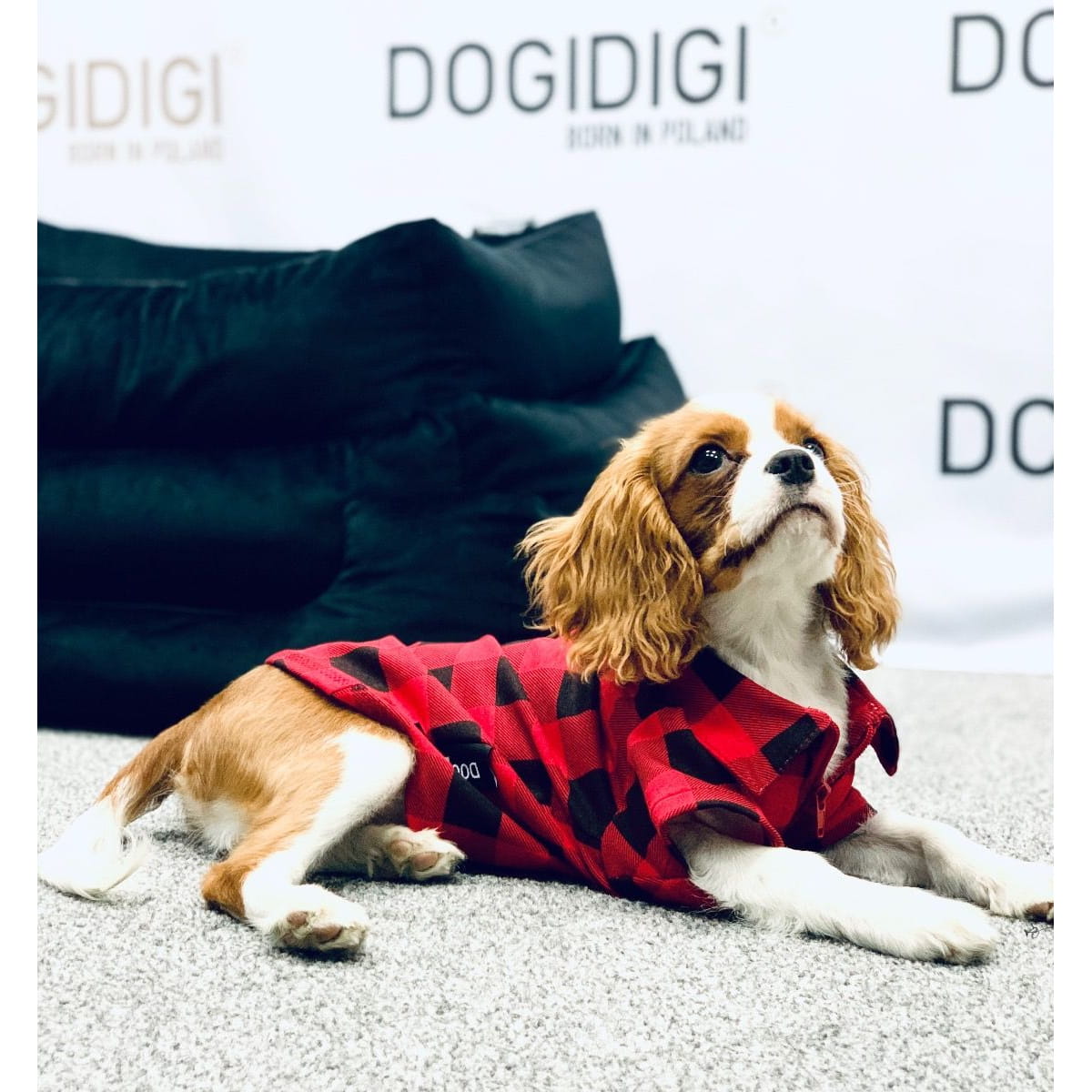 Dogidigi flanelowa koszula w kratę dla psa na miarę - ubranka dla psów
