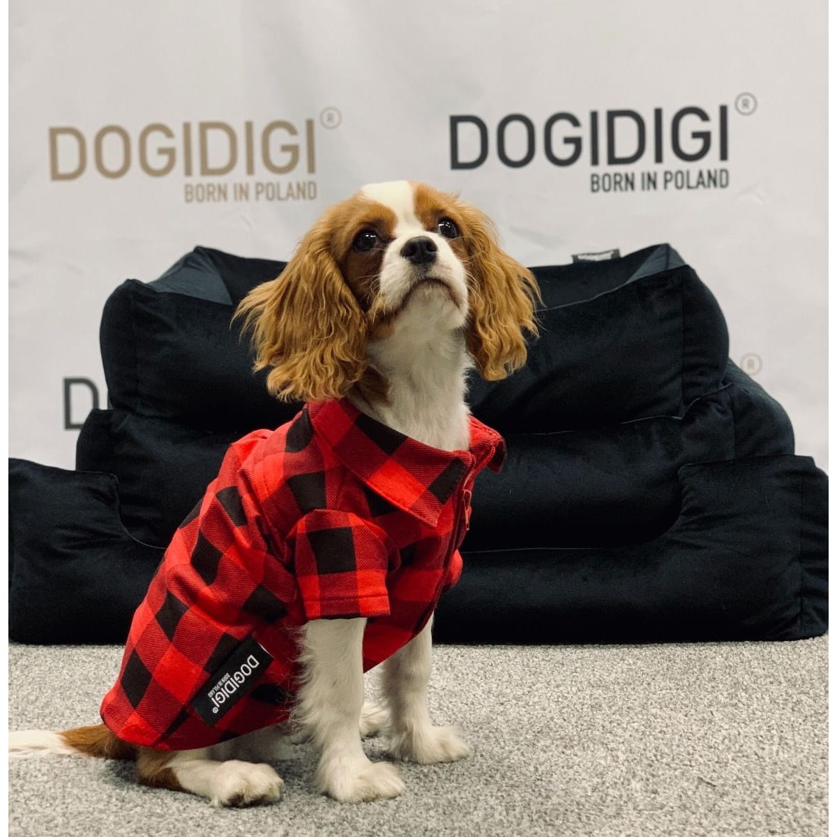 Dogidigi flanelowa koszula w kratę dla psa na miarę - ubranka dla psów