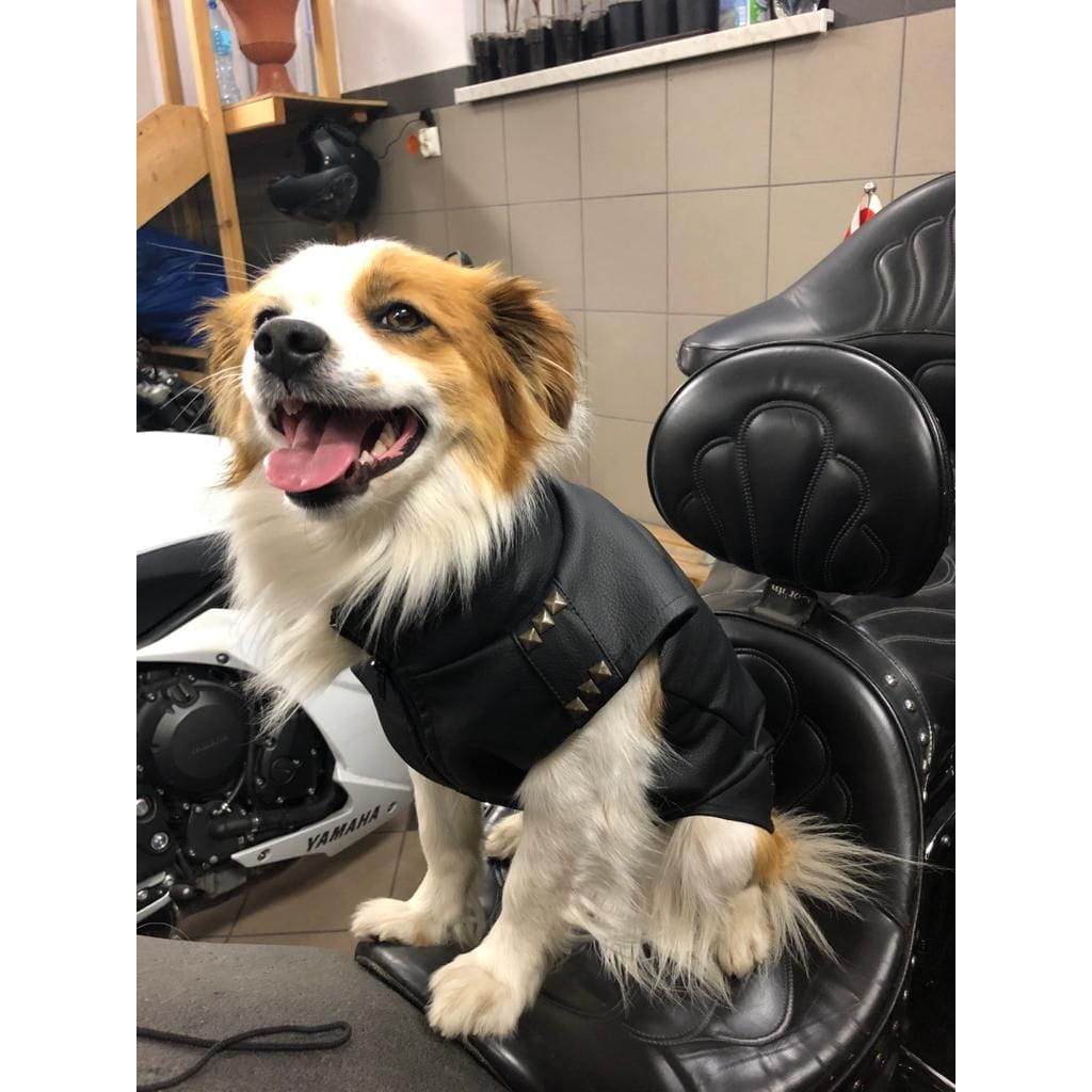 Dogidigi kurtka motocyklowa dla psa na miarę - ubranka dla psów