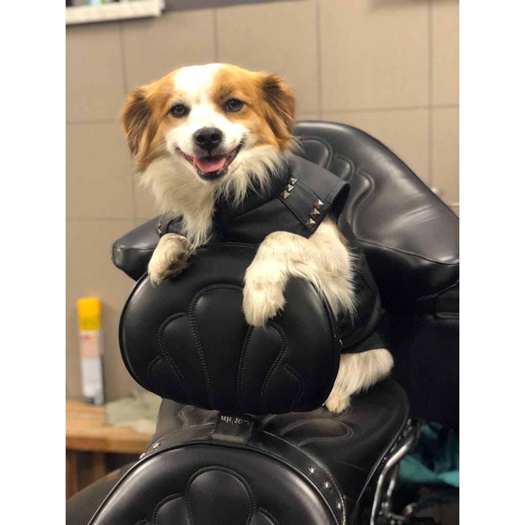 Dogidigi kurtka motocyklowa dla psa na miarę - ubranka dla psów