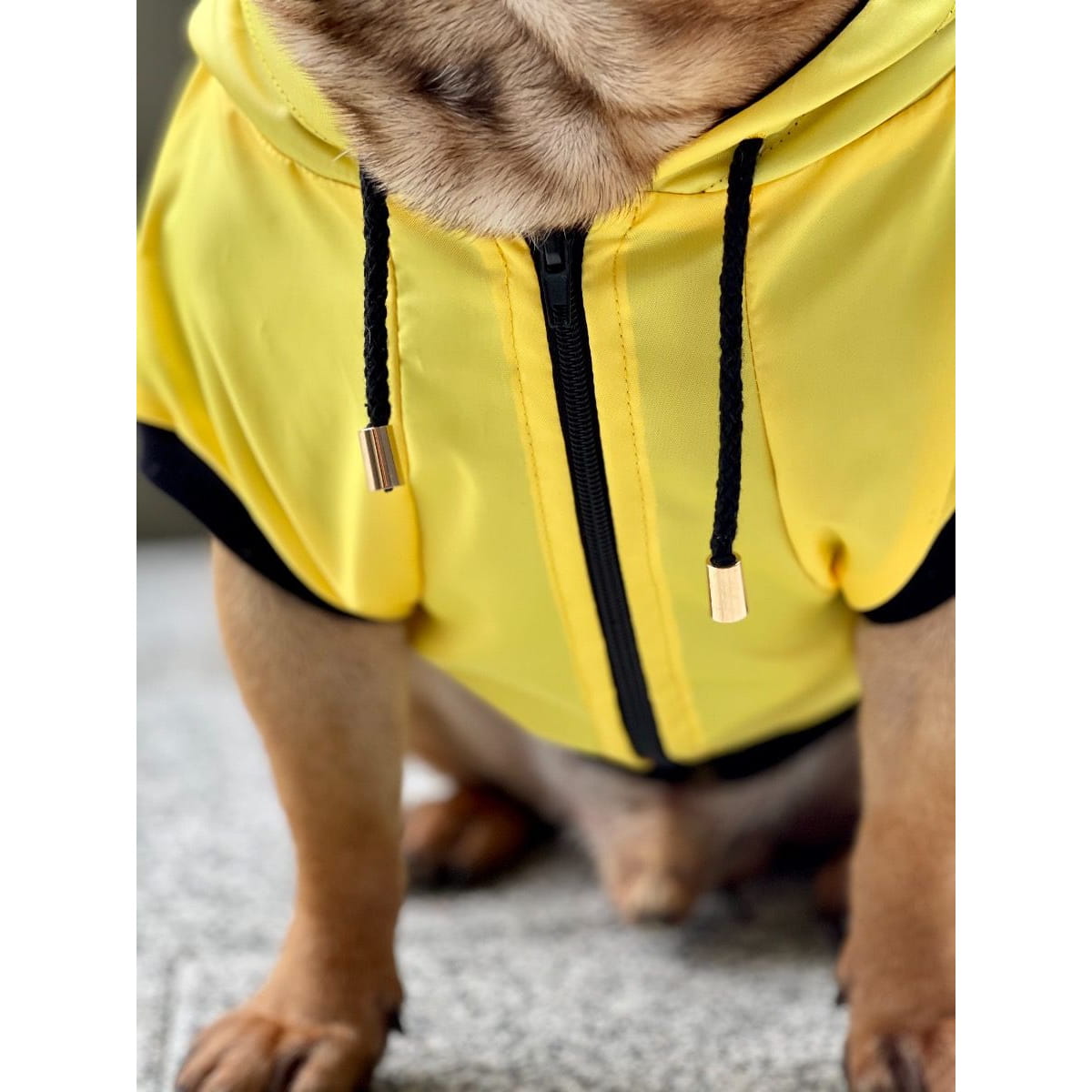 Dogidigi kurtka przeciwdeszczowa dla psa na miarę - ubranka dla psów
