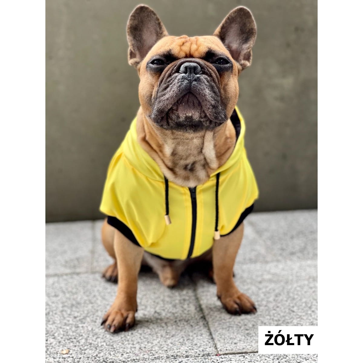 Dogidigi kurtka przeciwdeszczowa dla psa na miarę - ubranka dla psów