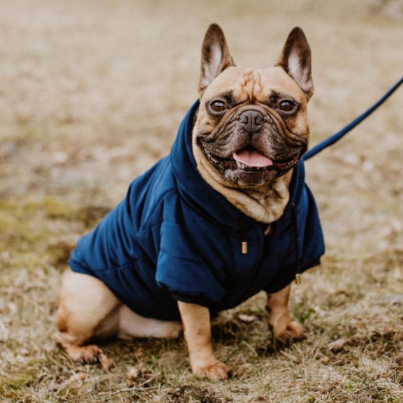 Dogidigi kurtka Velvet dla psa na miarę - ubranka dla psów