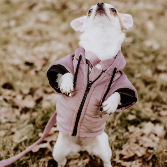 Dogidigi kurtka Velvet dla psa na miarę - ubranka dla psów