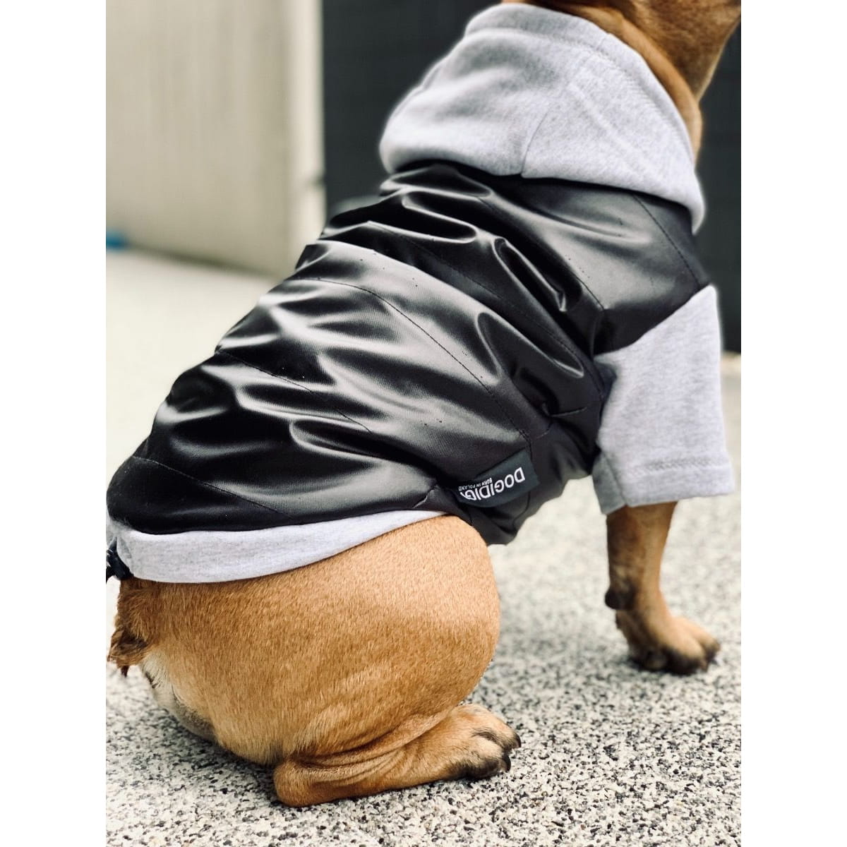 Dogidigi kurtka zimowa dla psa czarna na miarę - ubranka dla psów