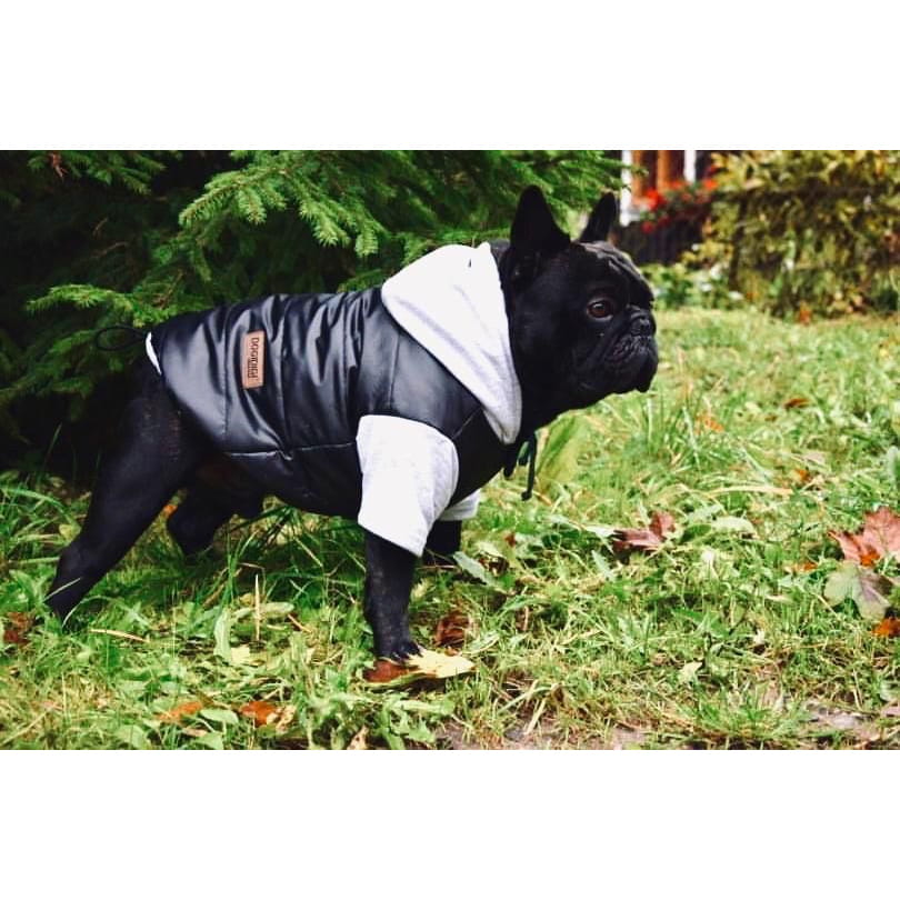 Dogidigi kurtka zimowa dla psa czarna na miarę - ubranka dla psów