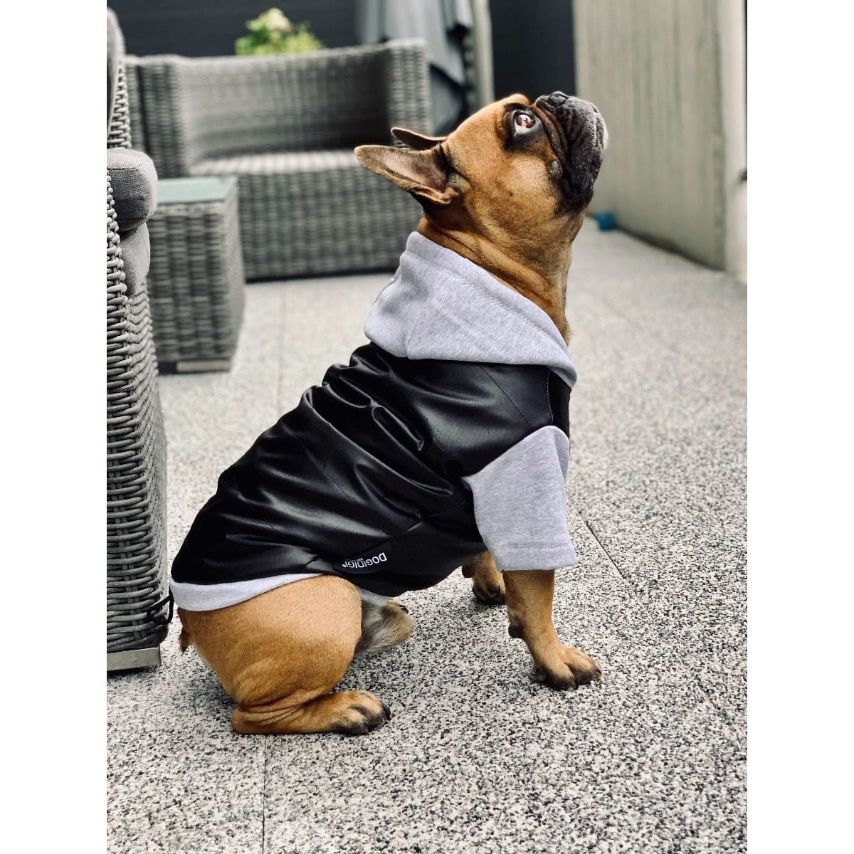 Dogidigi kurtka zimowa dla psa czarna na miarę - ubranka dla psów