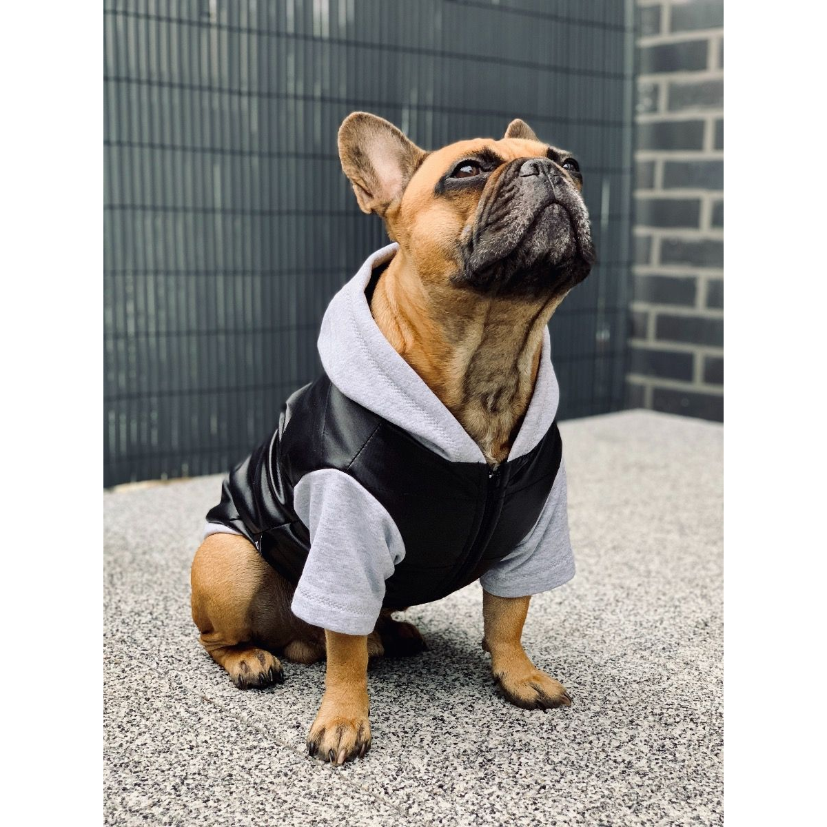 Dogidigi kurtka zimowa dla psa czarna na miarę - ubranka dla psów