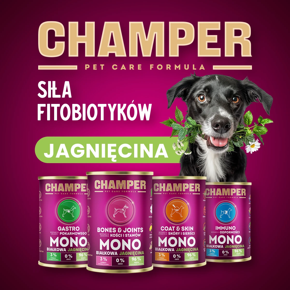 Champer Coat&Skin mono jagnięcina 400g - mokra karma dla psów