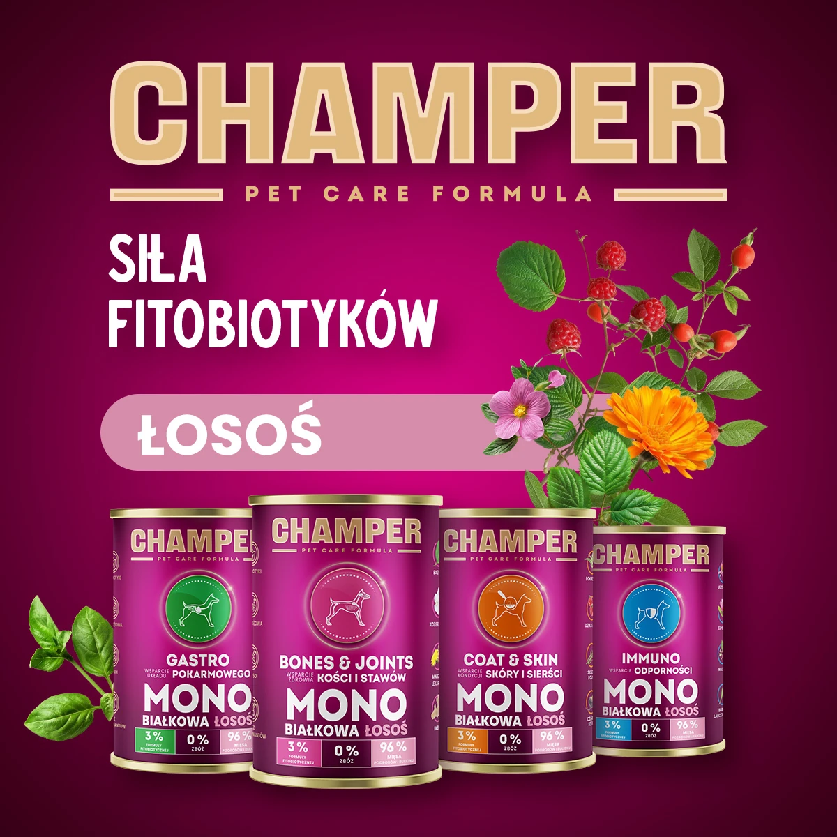 Champer Immuno mono łosoś 400g - mokra karma dla psów