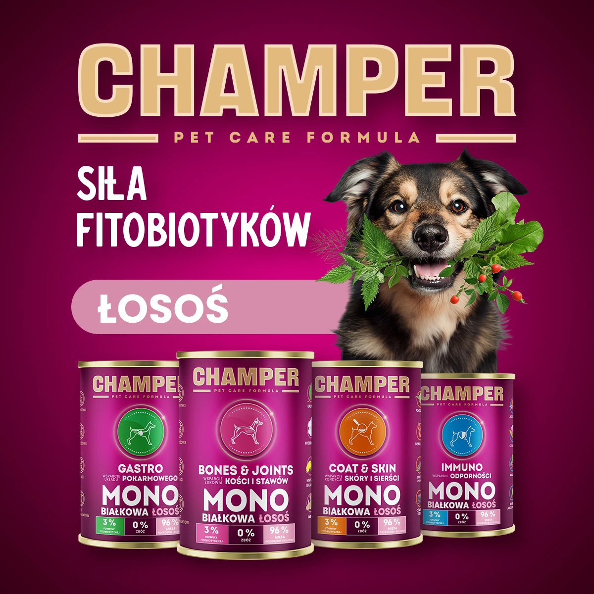 Champer Coat&Skin mono łosoś 400g - mokra karma dla psów