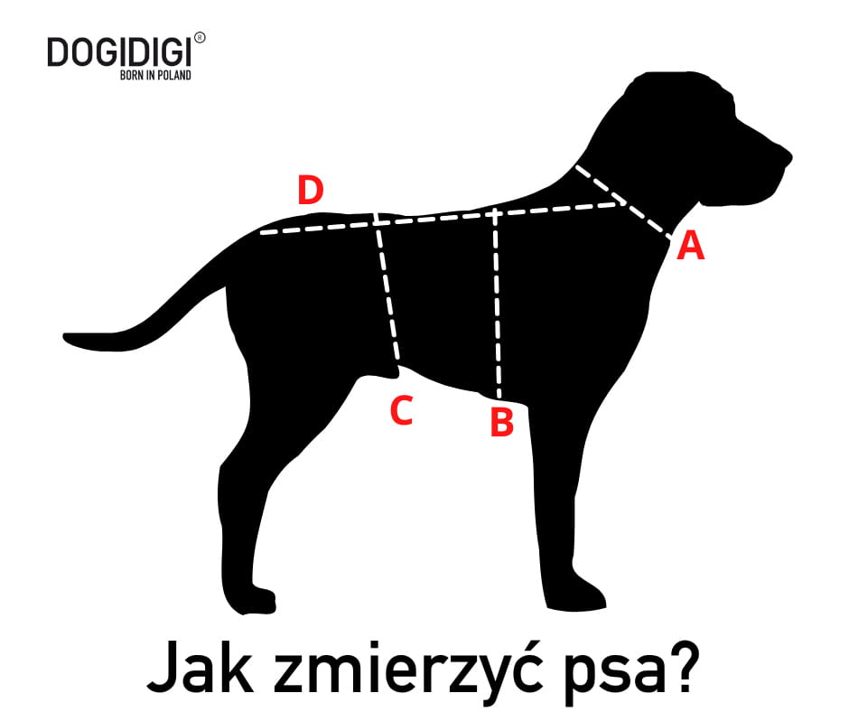 Dogidigi bluza Velvet bez kaptura dla psa na miarę - ubranka dla psów