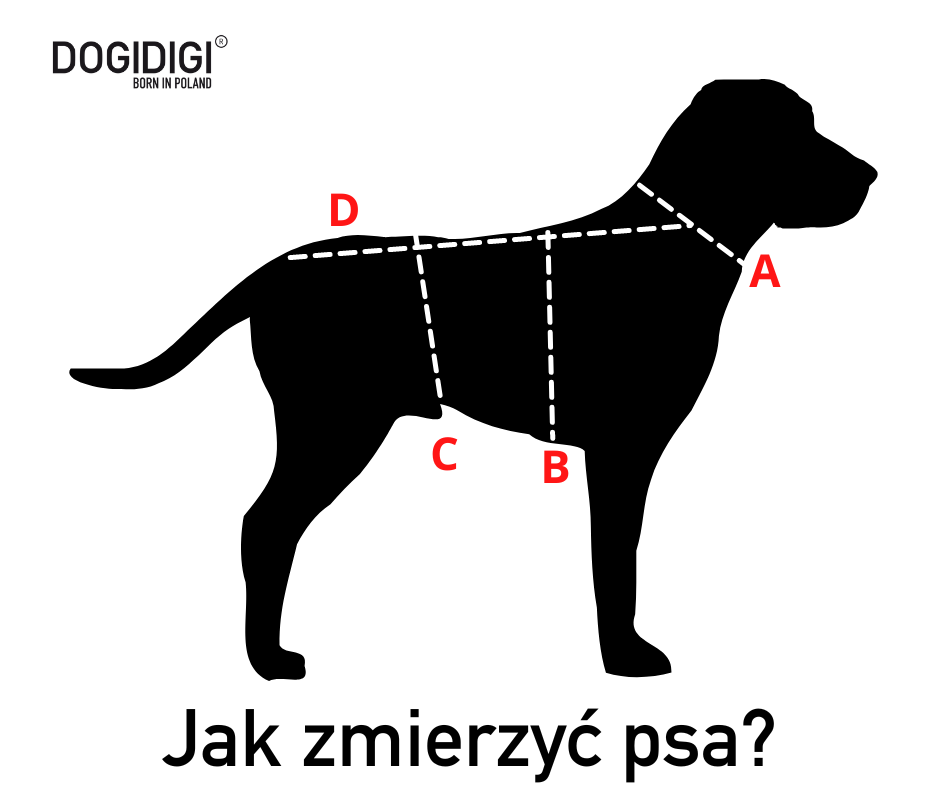 Dogidigi kurtka Velvet dla psa na miarę - ubranka dla psów