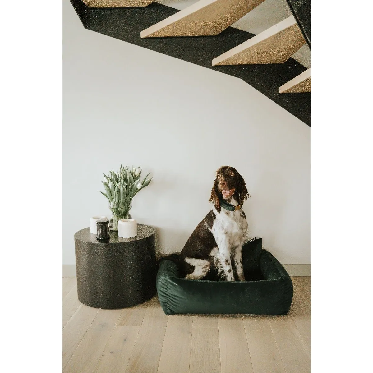 Dogidigi personalizowane legowisko CLOUD dla psa - legowiska dla psów