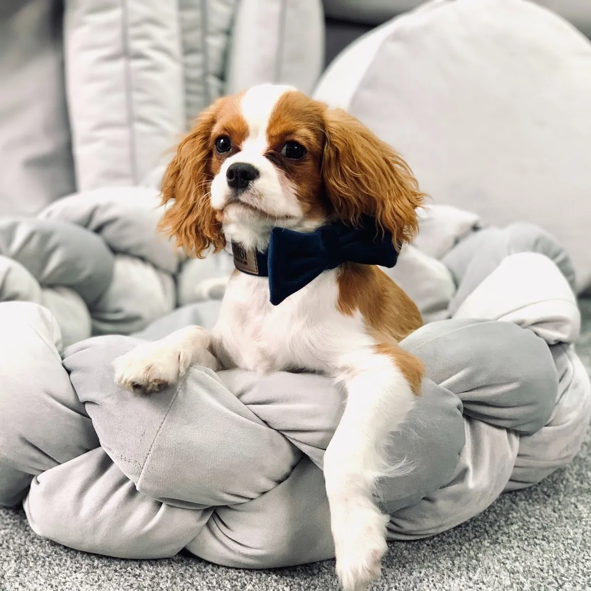 Dogidigi personalizowane legowisko plecione dla psa - legowiska dla psów