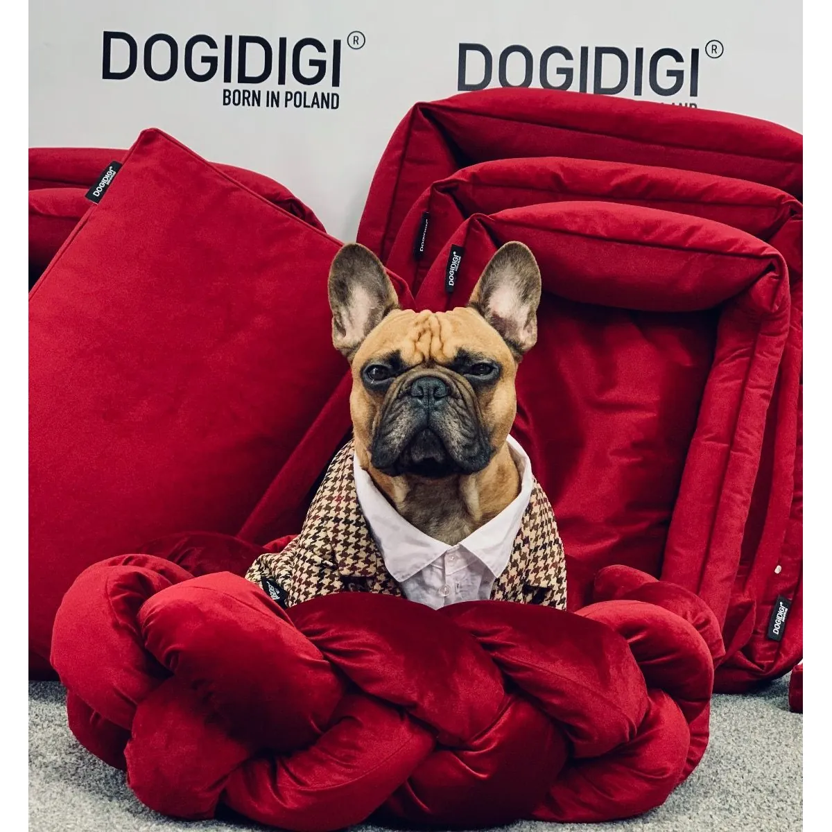 Dogidigi personalizowane legowisko plecione dla psa - legowiska dla psów