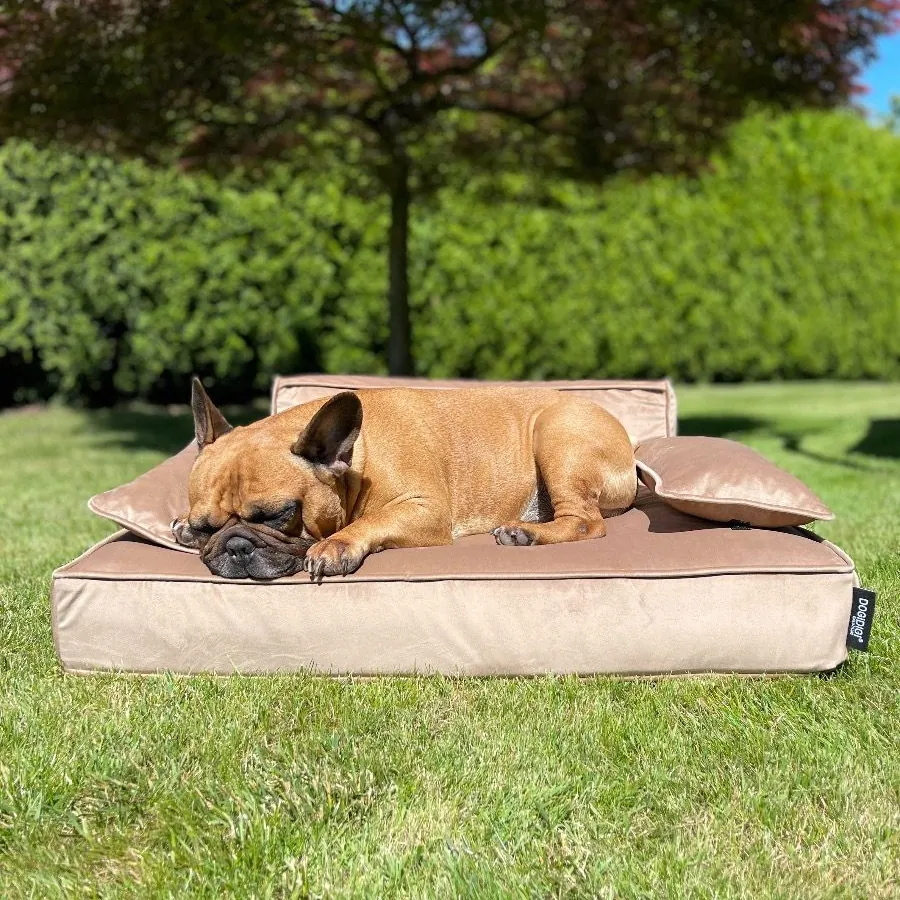 Dogidigi personalizowane legowisko WERSAL dla psa - legowiska dla psów