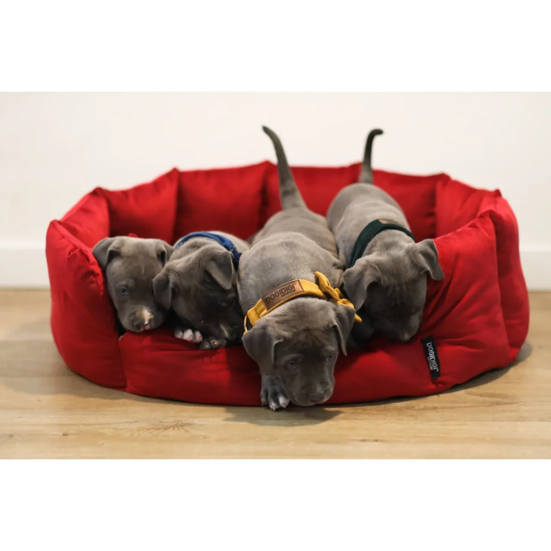 Dogidigi personalizowane legowisko ROYAL dla psa - legowiska dla psów