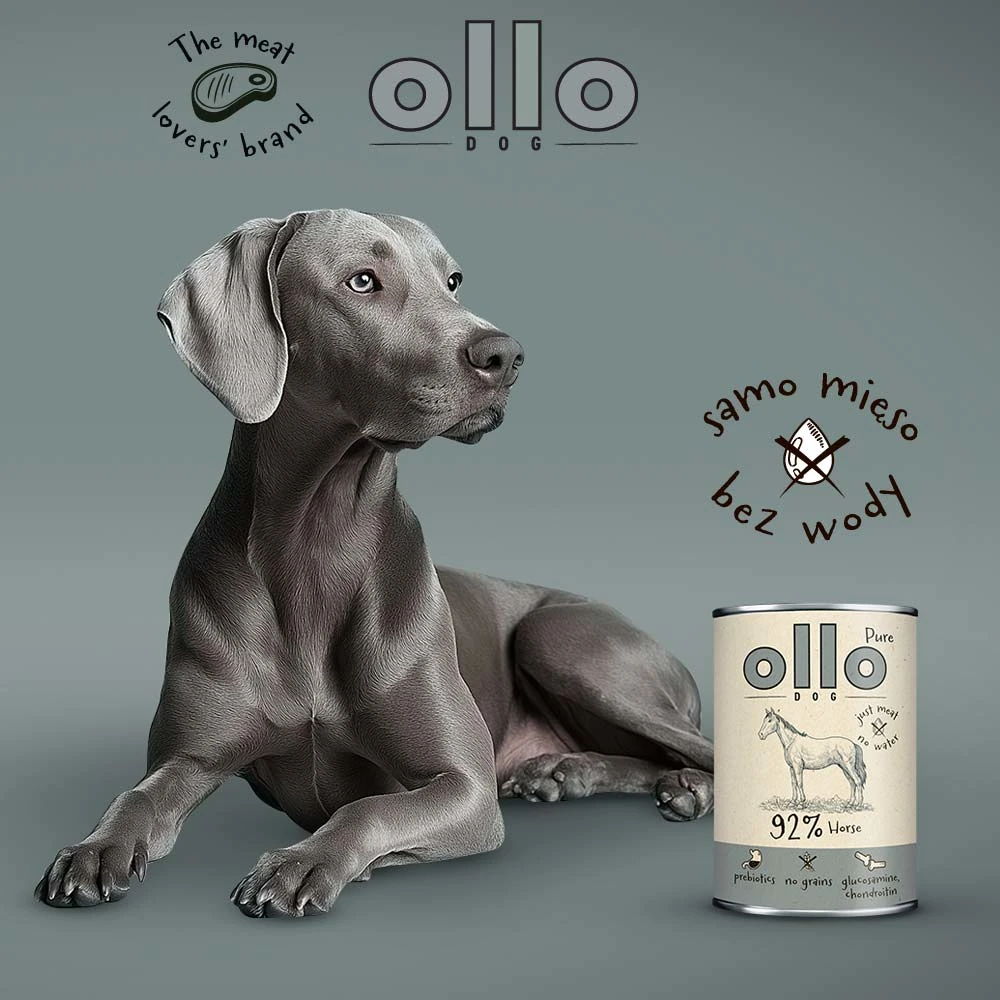 Ollo Pure Koń puszka 400g