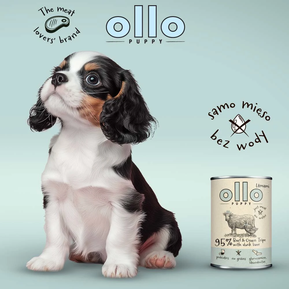 Ollo PUPPY Umami Wołowina i żwacze 400g/850g