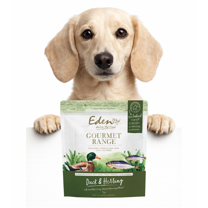 Eden Gourmet Kaczka i Śledź 2kg/10kg - sucha karma dla psów