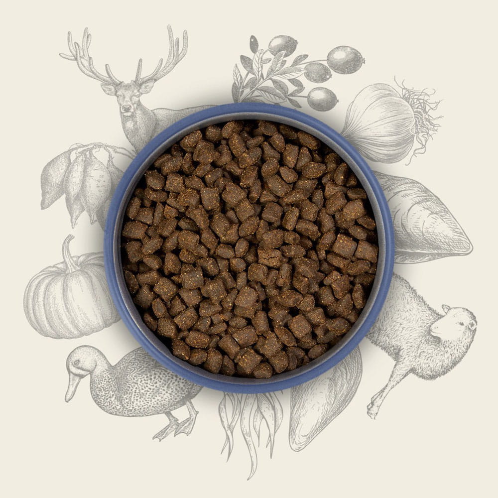 Eden Country Feast 2kg/10kg - półwilgotna karma dla psów