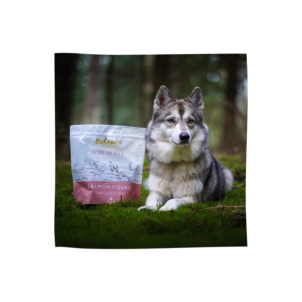 Eden Łosoś i Przepiórka 2kg/10kg - półwilgotna karma dla psów