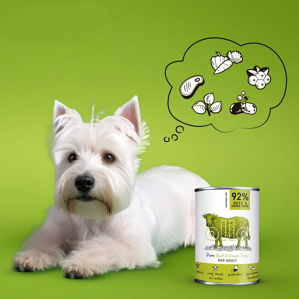 Ollo Pure Wołowina i Żwacze puszka 400g/850g