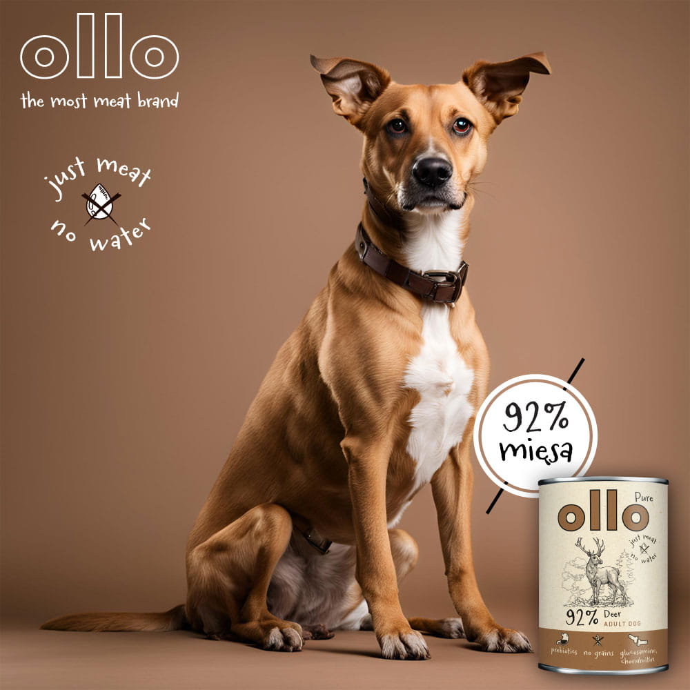 Ollo Pure Jeleń puszka 400g/850g