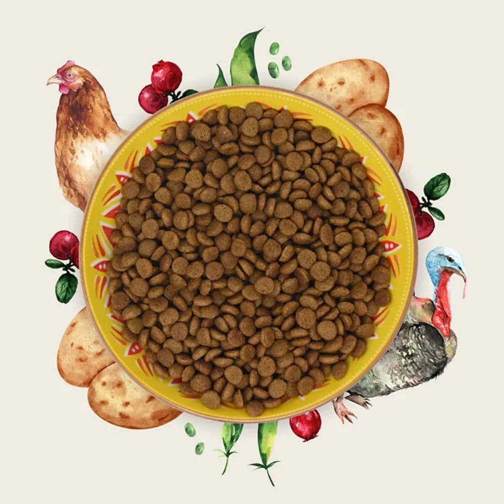 Eden kot Indyk i Kurczak 1,5kg - sucha karma dla kotów