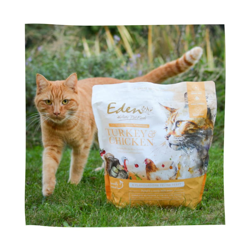 Eden kot Indyk i Kurczak 1,5kg - sucha karma dla kotów