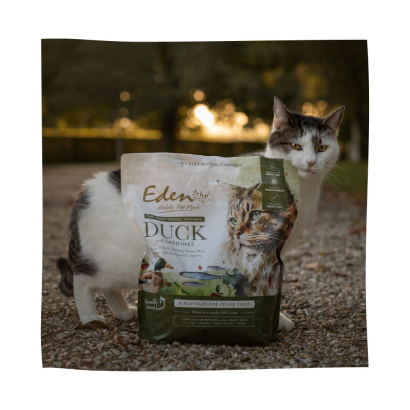 Eden kot Kaczka i Sardynka 1,5kg - sucha karma dla kotów