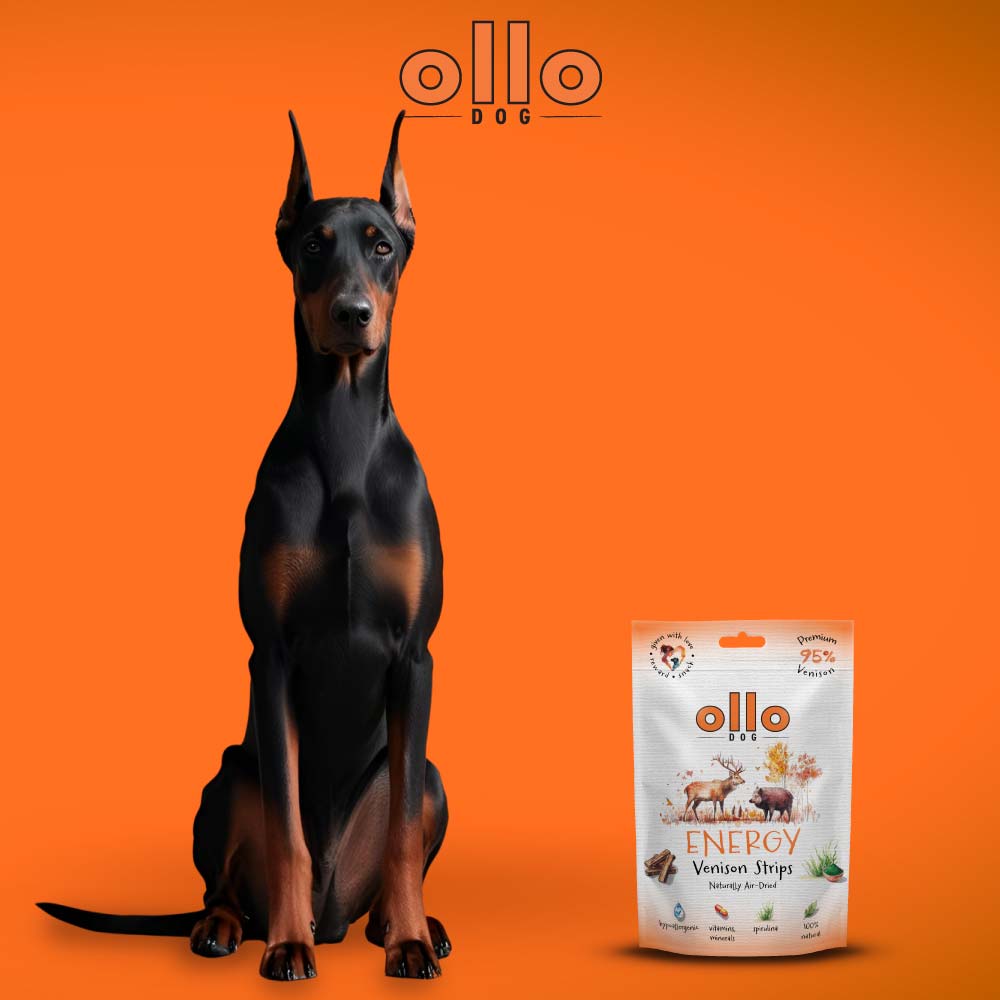 Ollo Air Dried Energy Strips Jeleń i Dzik 80g - przysmak dla psów