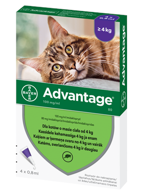 Advantage krople przeciwko pchłom dla kotów