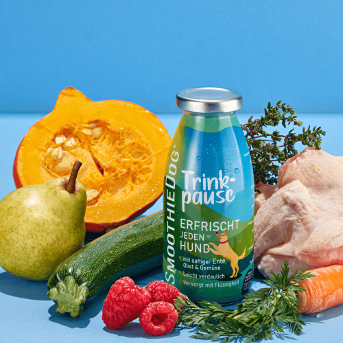 SmoothieDog Kaczka 250ml - płynny przysmak dla psów